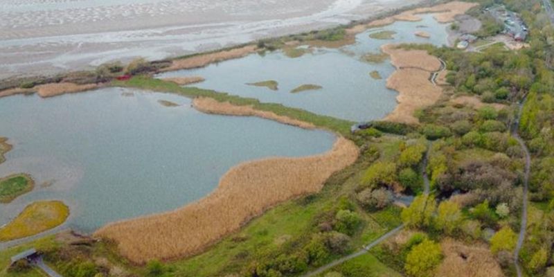 Conwy Estuary and RSPB Conwy Nature Reserve